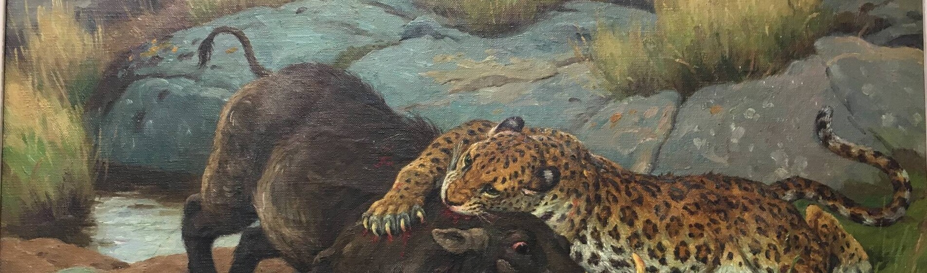 cynégétique